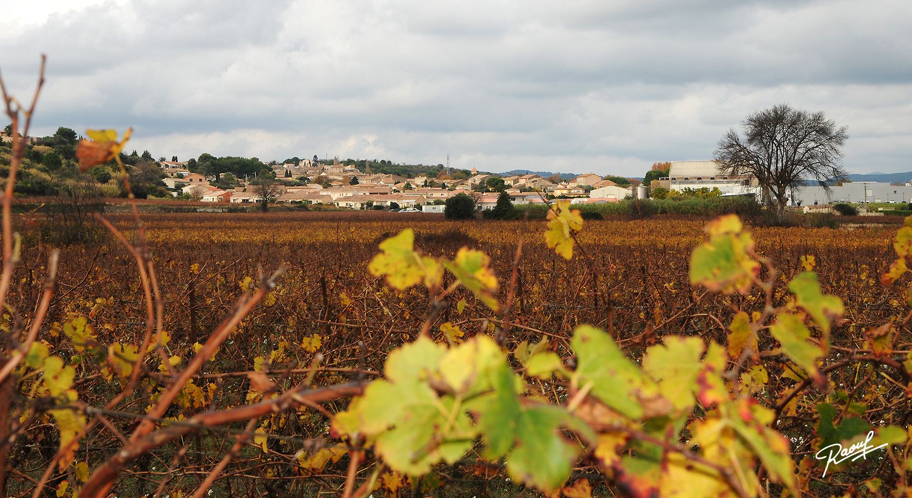 Mairie de Roujan - site officiel