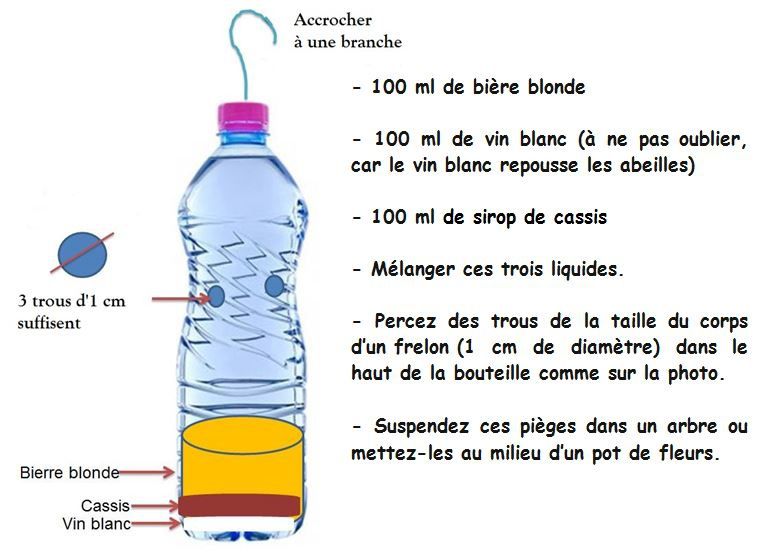 piège nid de frelons