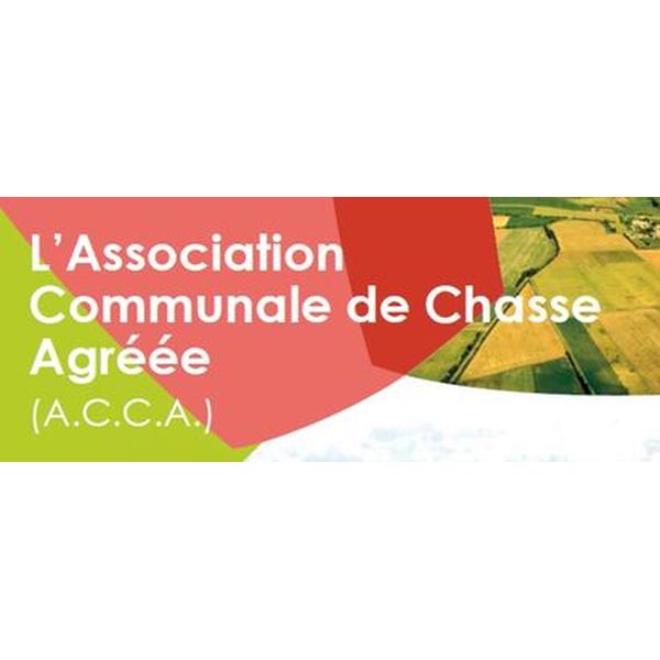 ACCA